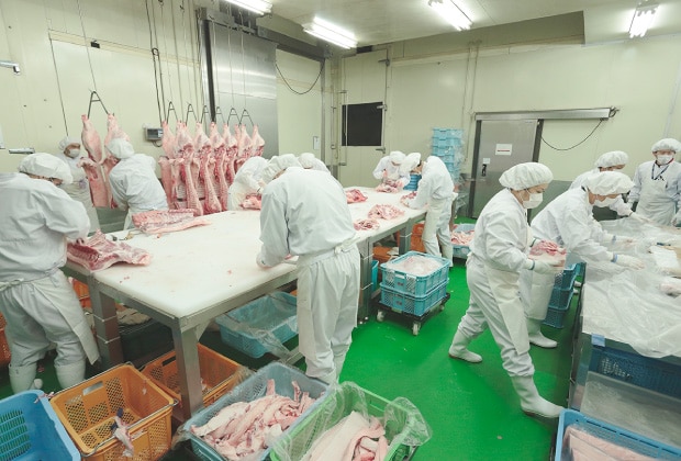 製造ライン